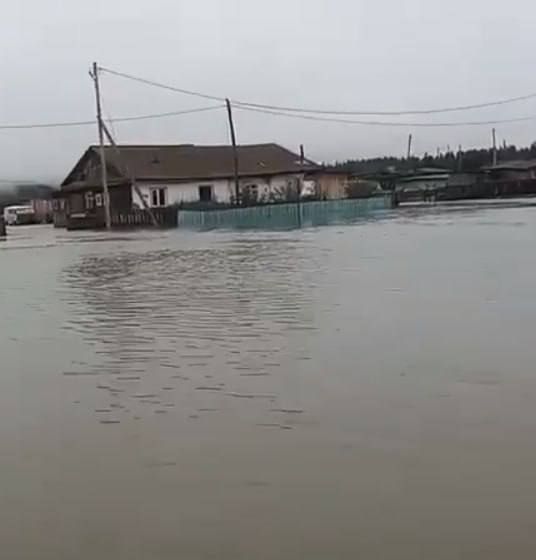 Медиа в альбоме