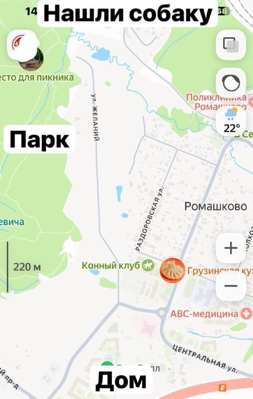 Медиа в альбоме